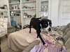 PATTI - Photo 3