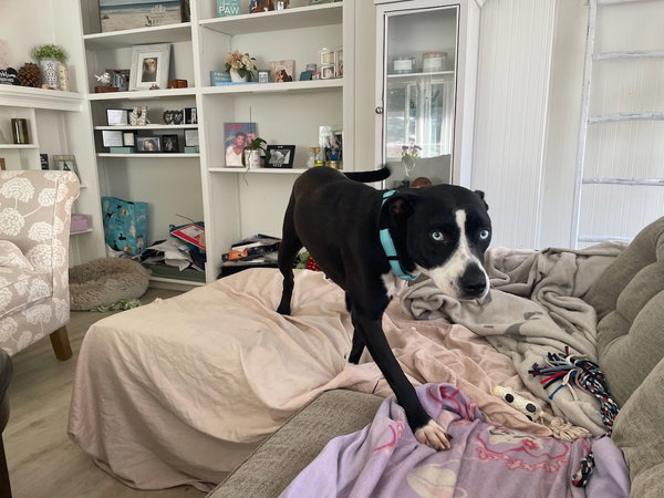 PATTI