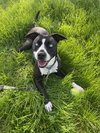 PATTI - Photo 5
