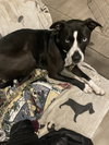 PATTI - Photo 6