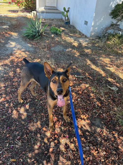 Photo of DUMBO