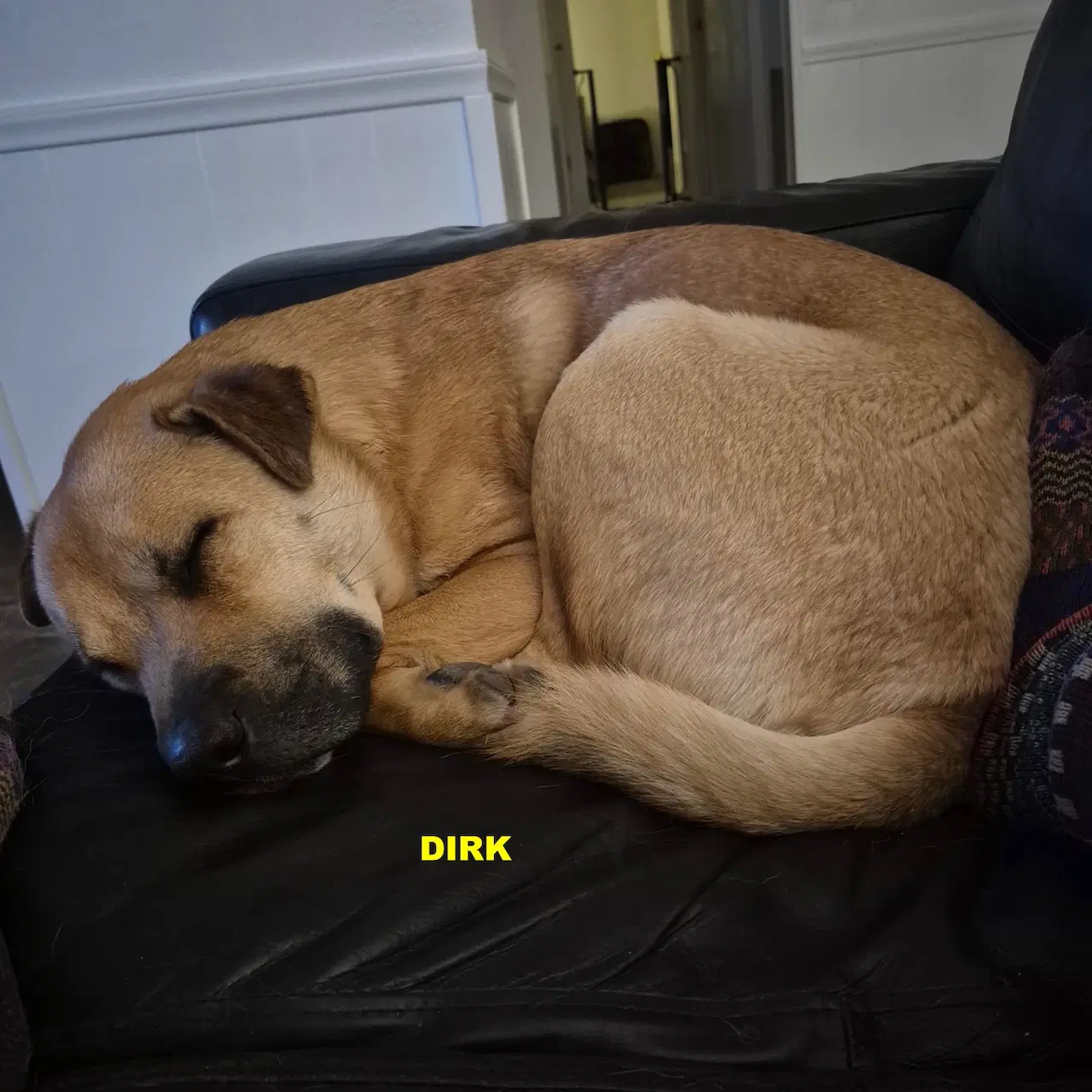 Dirk image 4