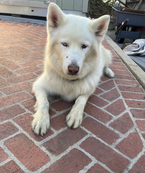 Photo of LUCKY