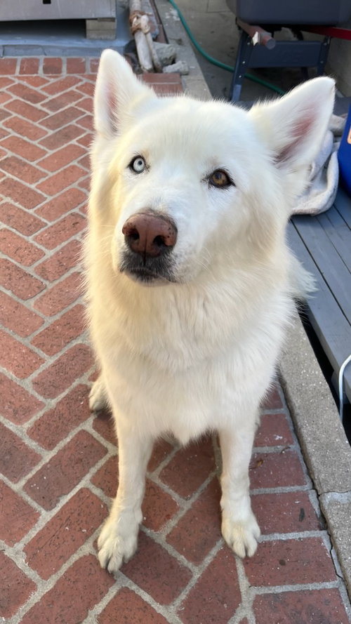 Photo of LUCKY