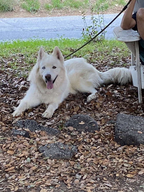 Photo of LUCKY