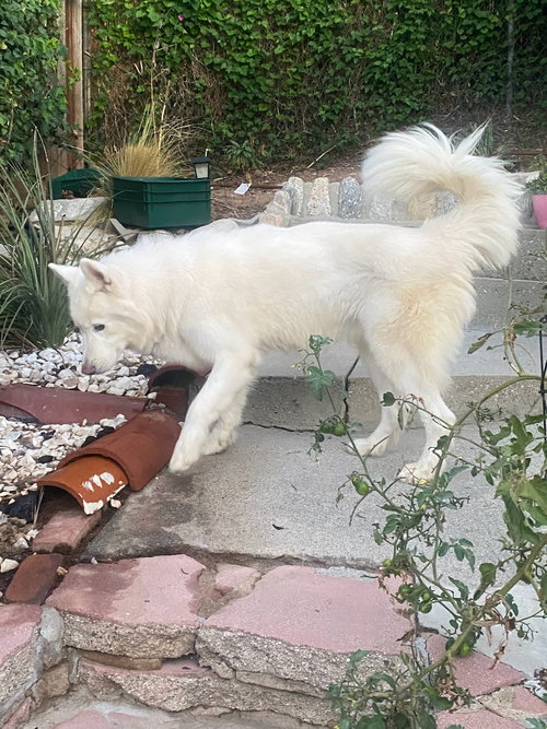 Photo of LUCKY