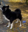 RICO - Photo 2