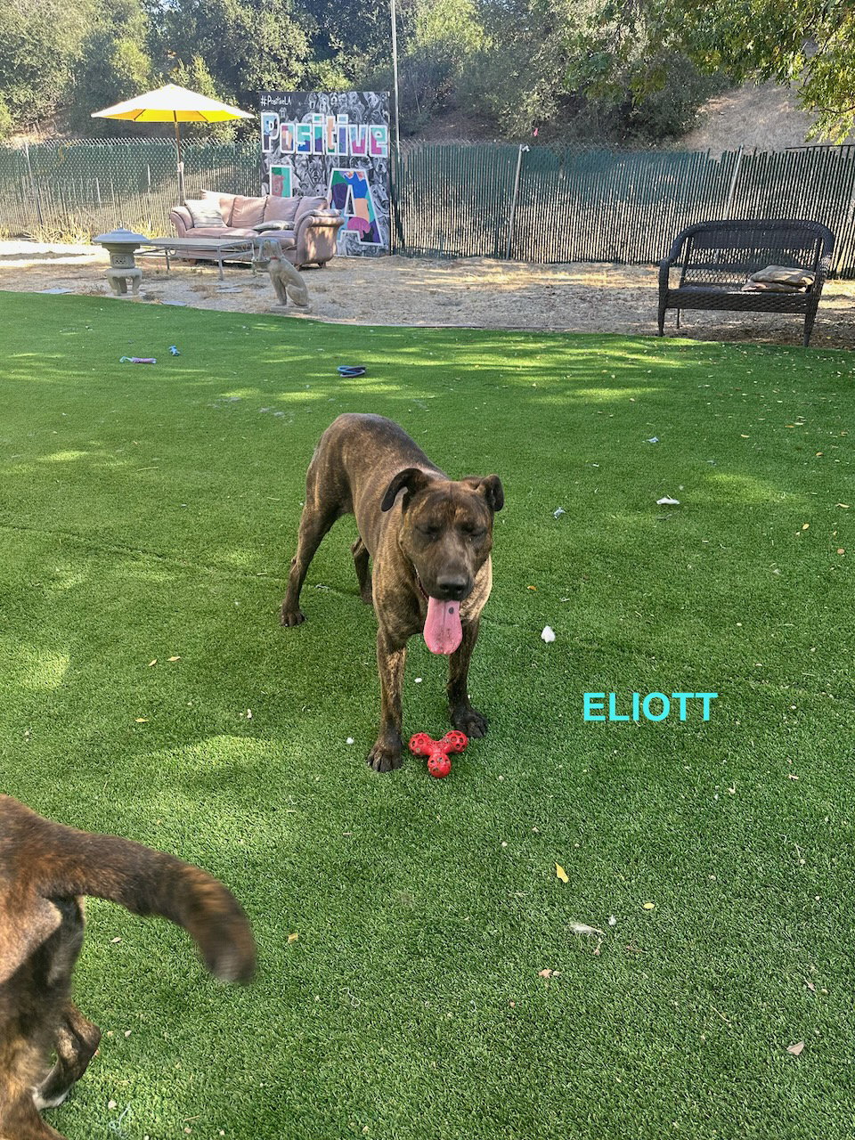 ELIOTT, photo 8