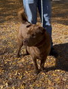 HUGO - Photo 2