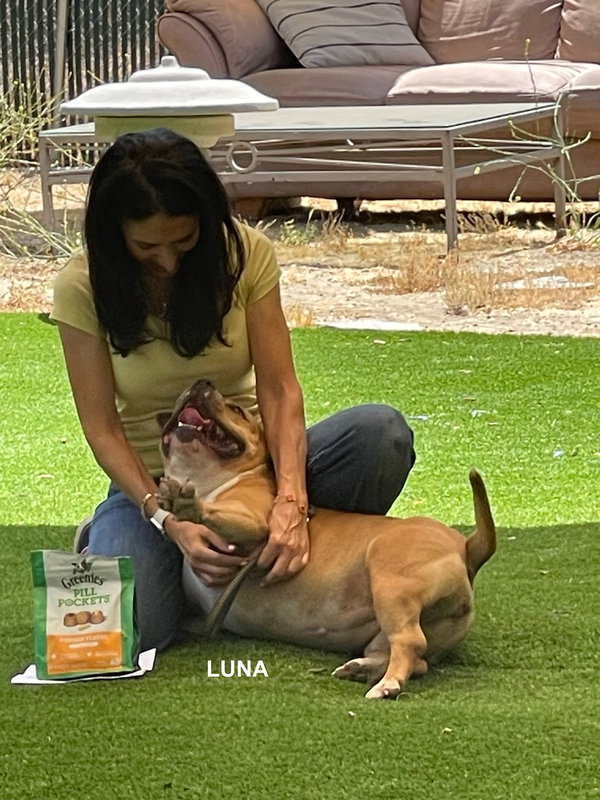 LUNA ( Love Bug)