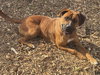 NALA - Photo 3