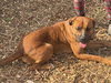 NALA - Photo 4