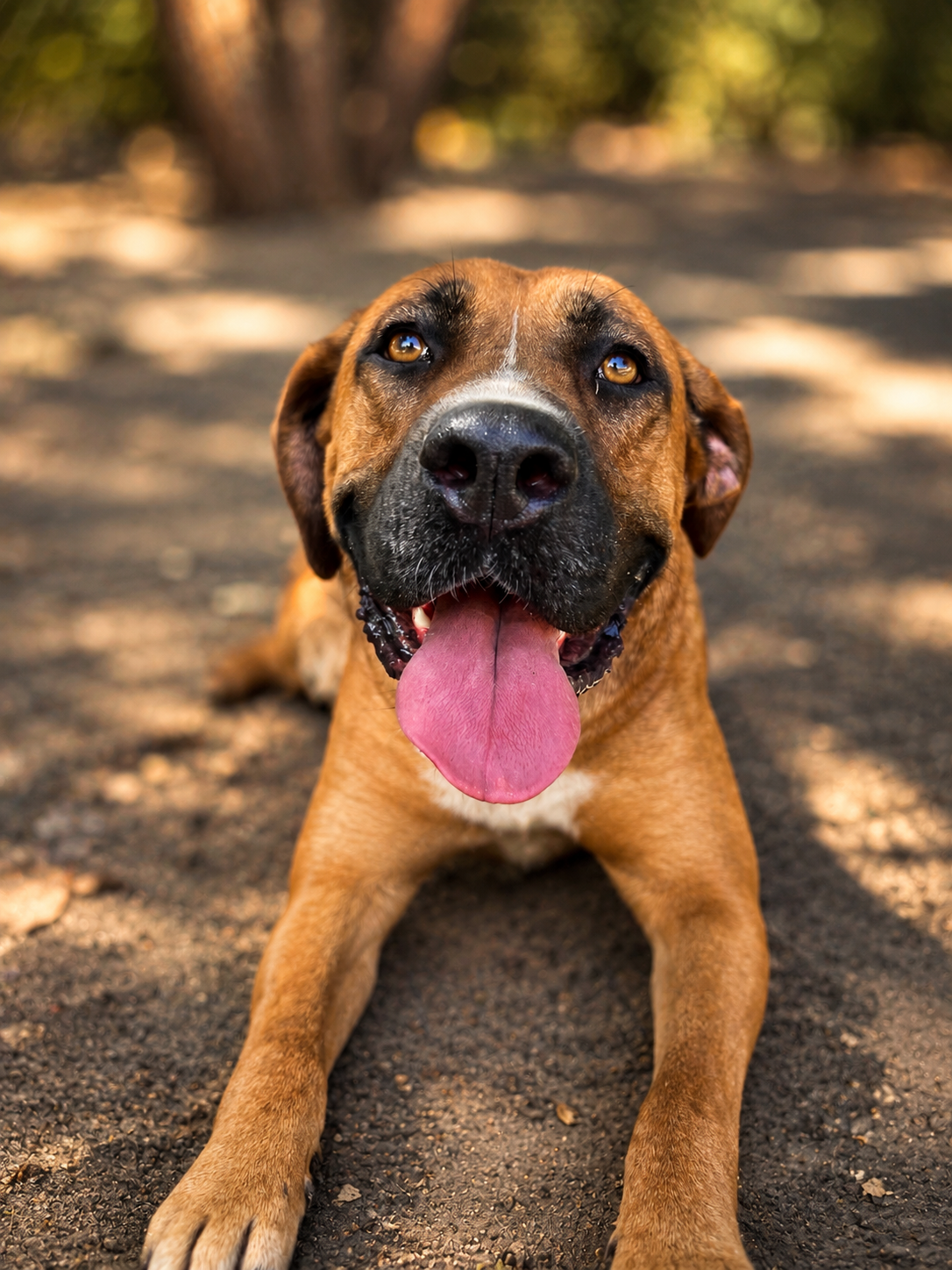NALA, photo 9