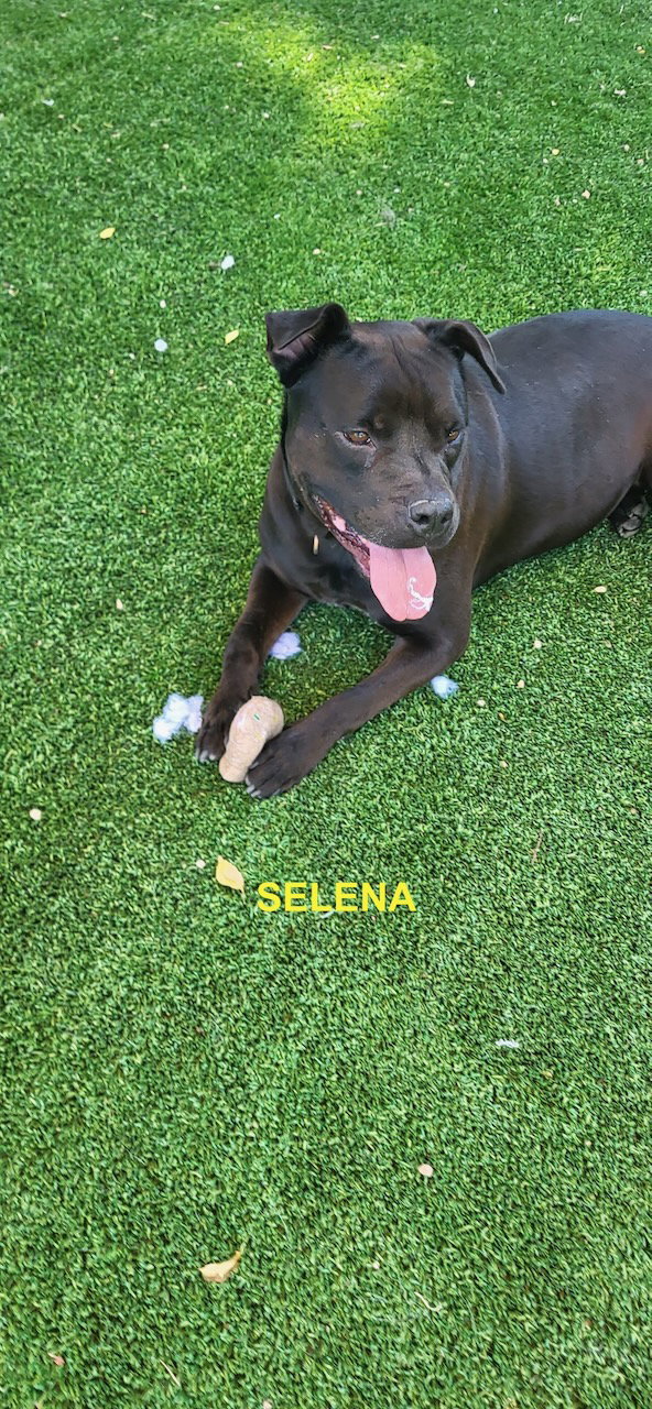 SELENA, photo 9
