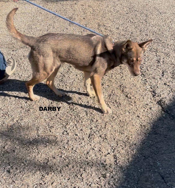 DARBY