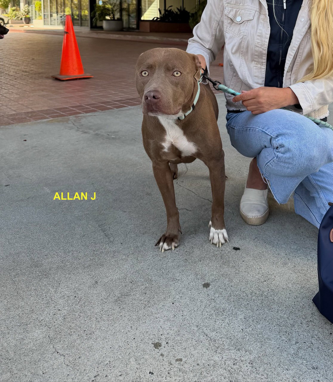 ALLEN J, photo 8