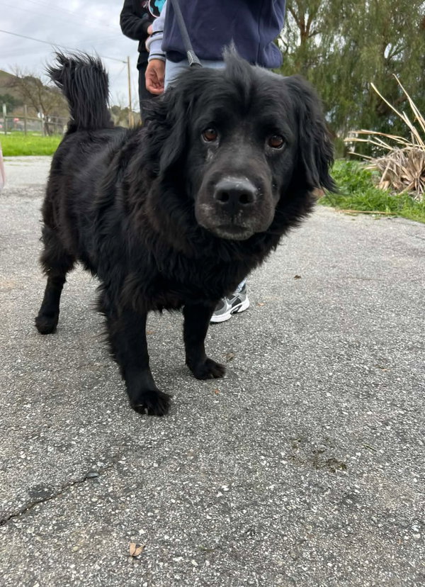 ONYX