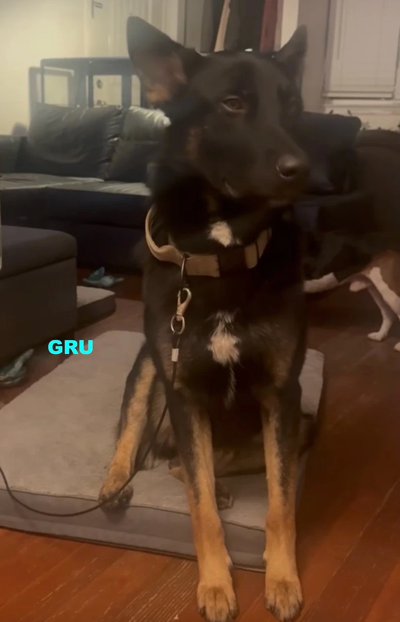 Gru