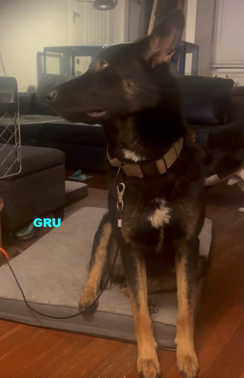 GRU photo 3