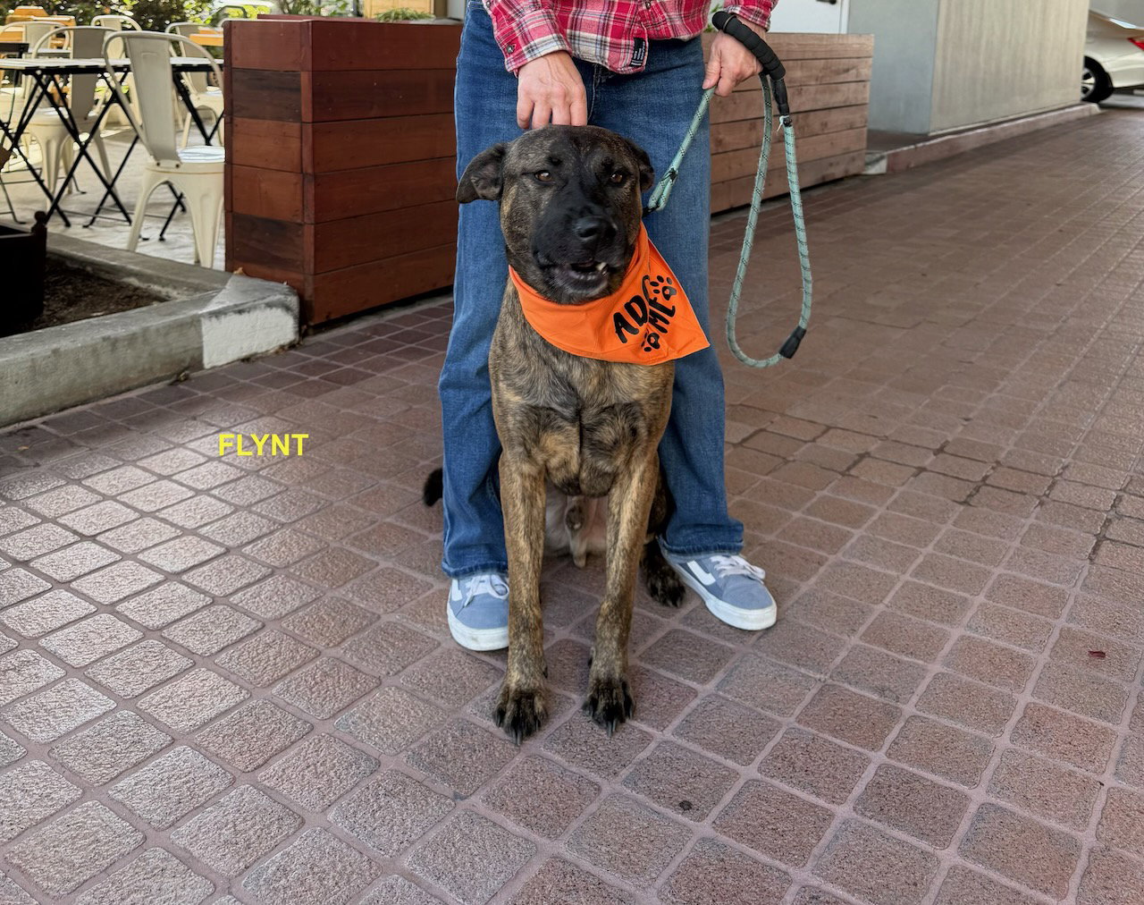 FLYNT, photo 7