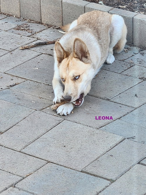 GRACIE & LEONA