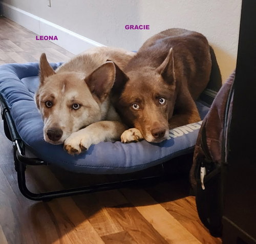 GRACIE & LEONA photo 2