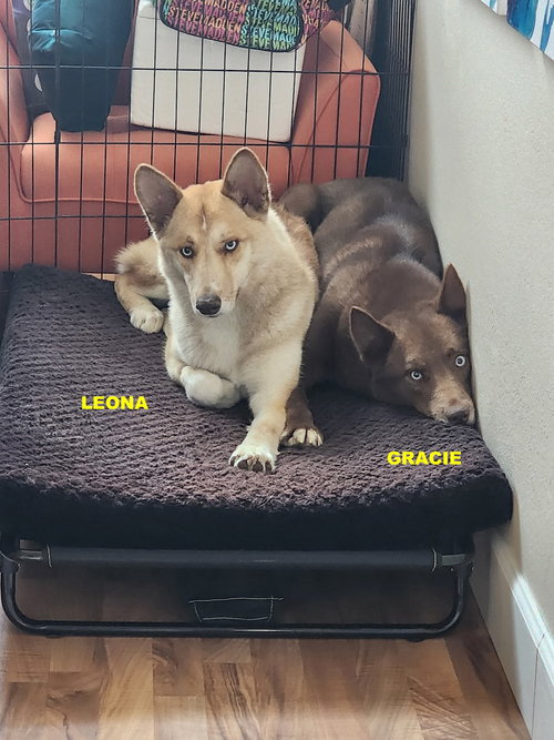 GRACIE & LEONA photo 6