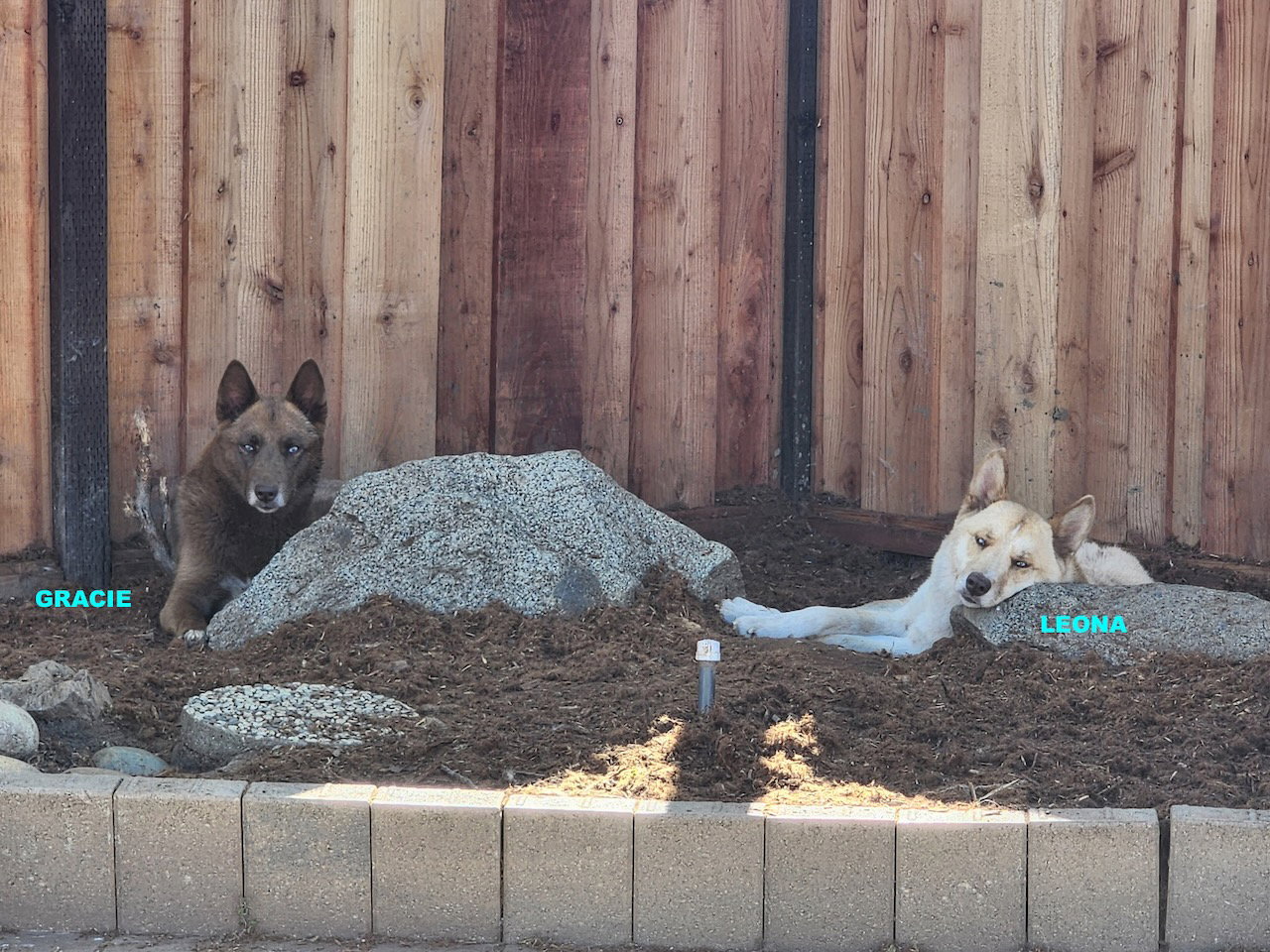 GRACIE & LEONA, photo 7