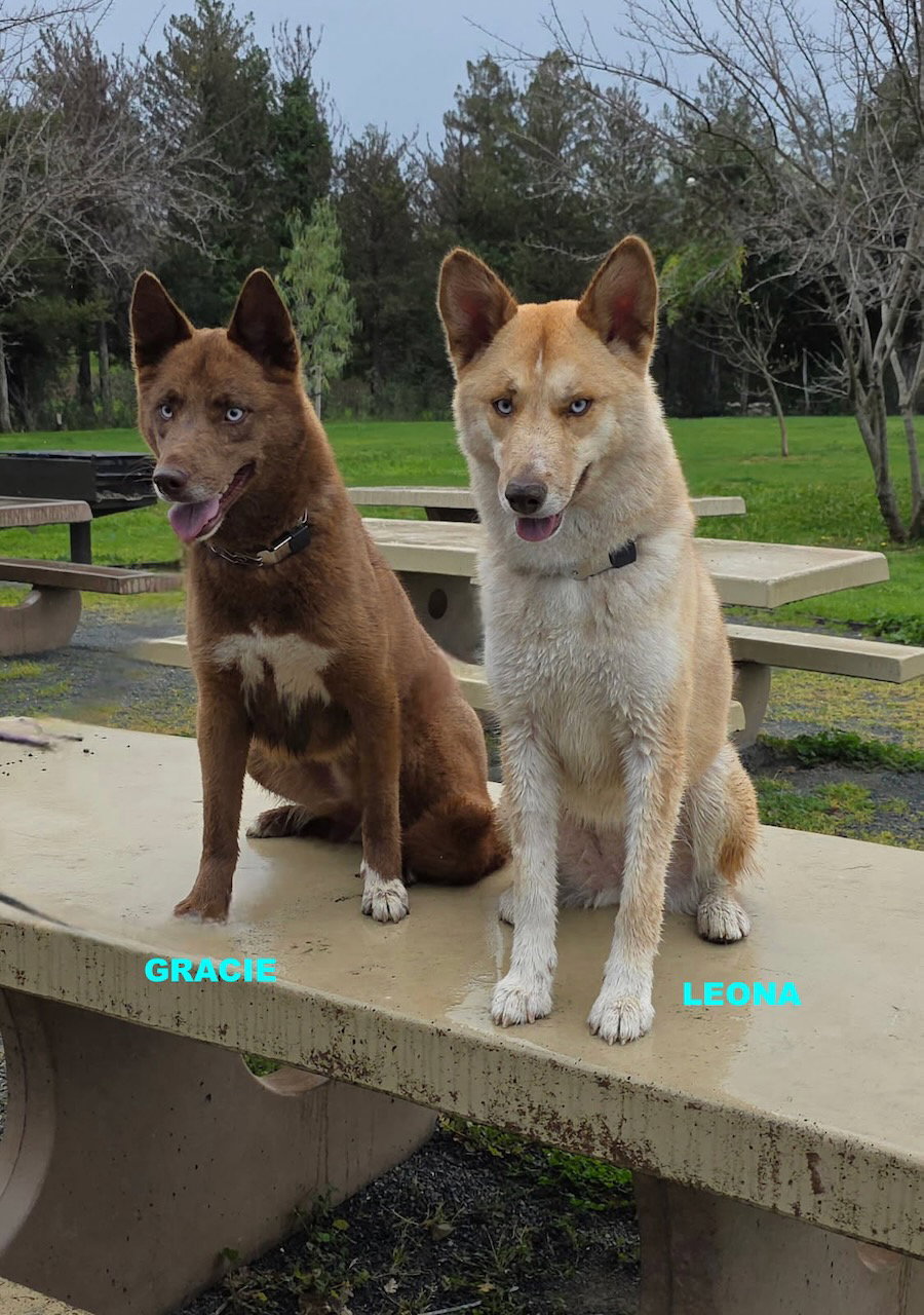 GRACIE & LEONA, photo 9