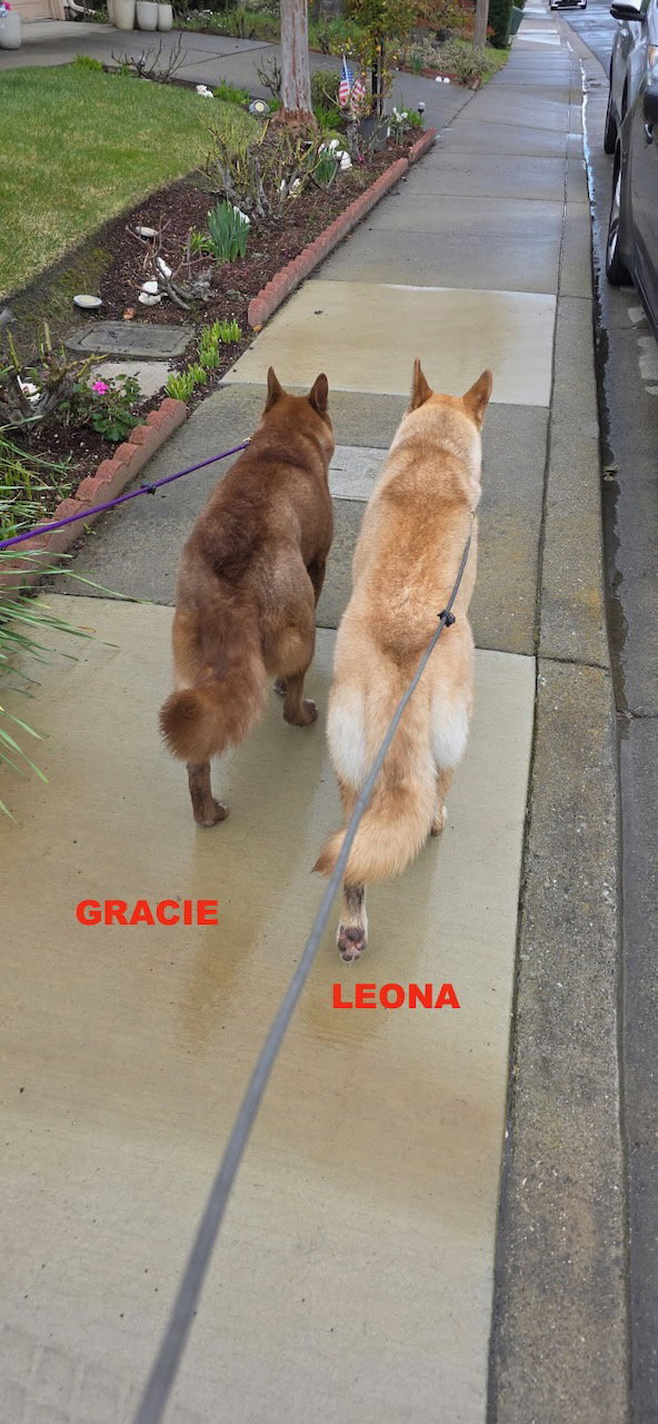 GRACIE & LEONA, photo 10