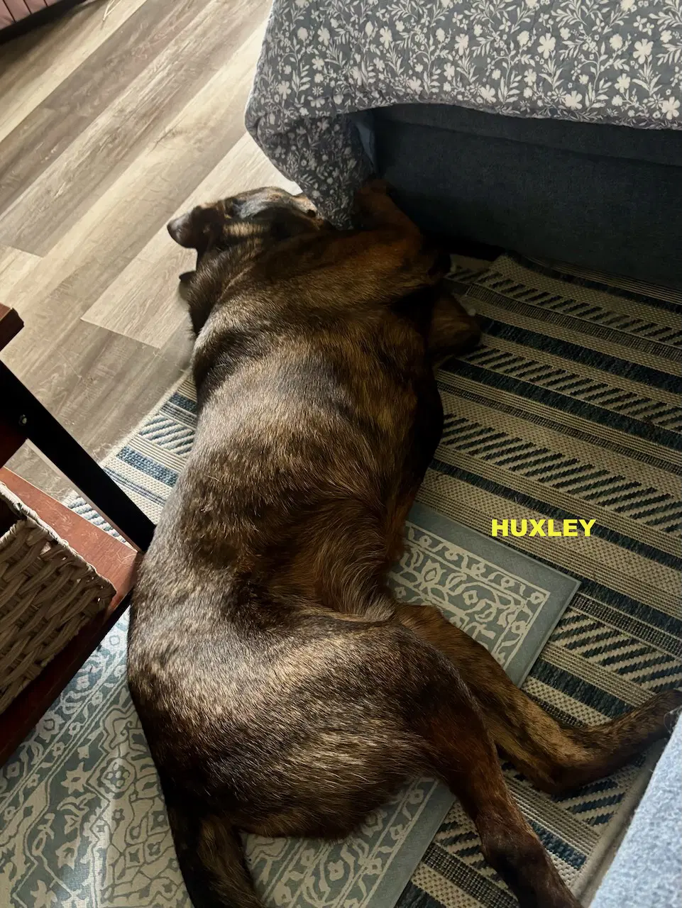Huxley image 3
