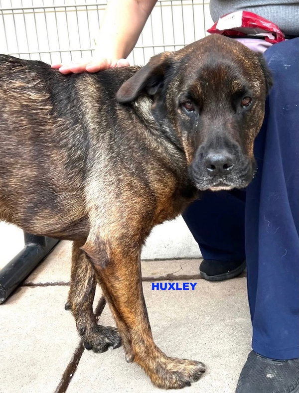 HUXLEY