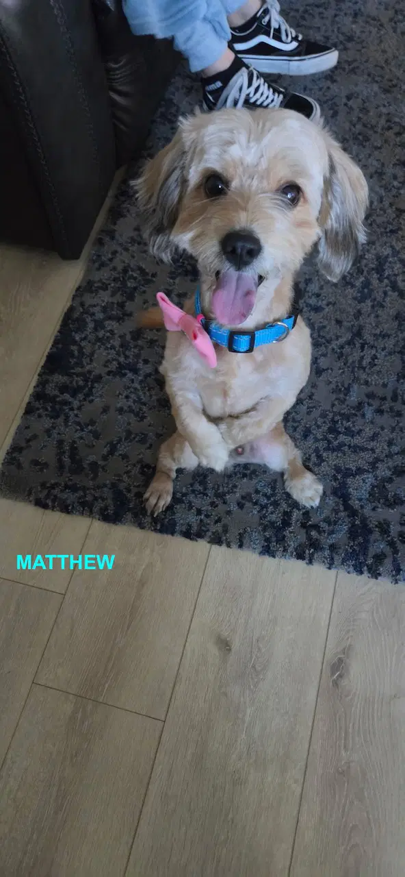 Matthew image 4