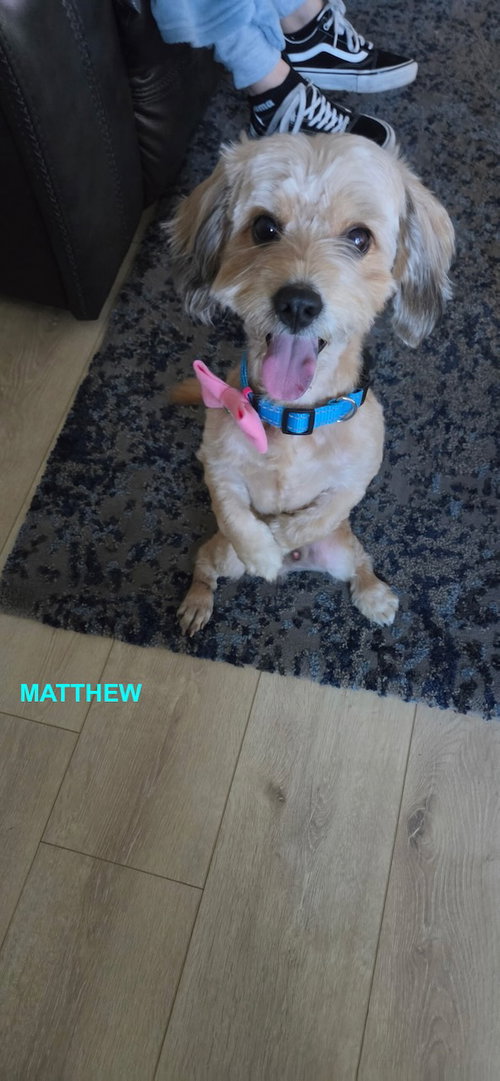 Matthew photo 4