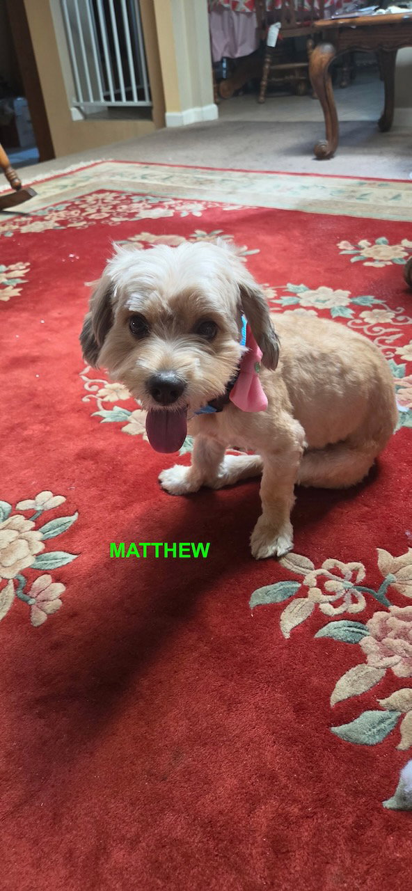 MATTHEW