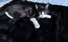 Runty - female teen bonded with Cane - Photo 4