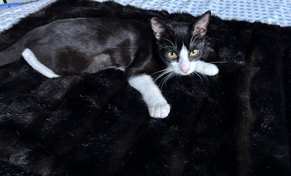 Runty - female teen bonded with Cane