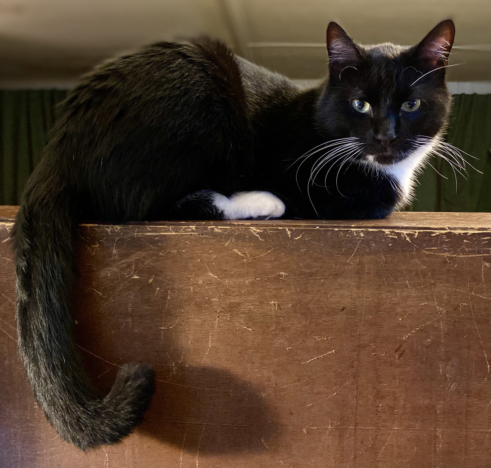 Marlowe