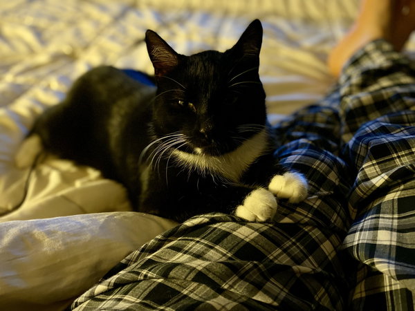 Marlowe
