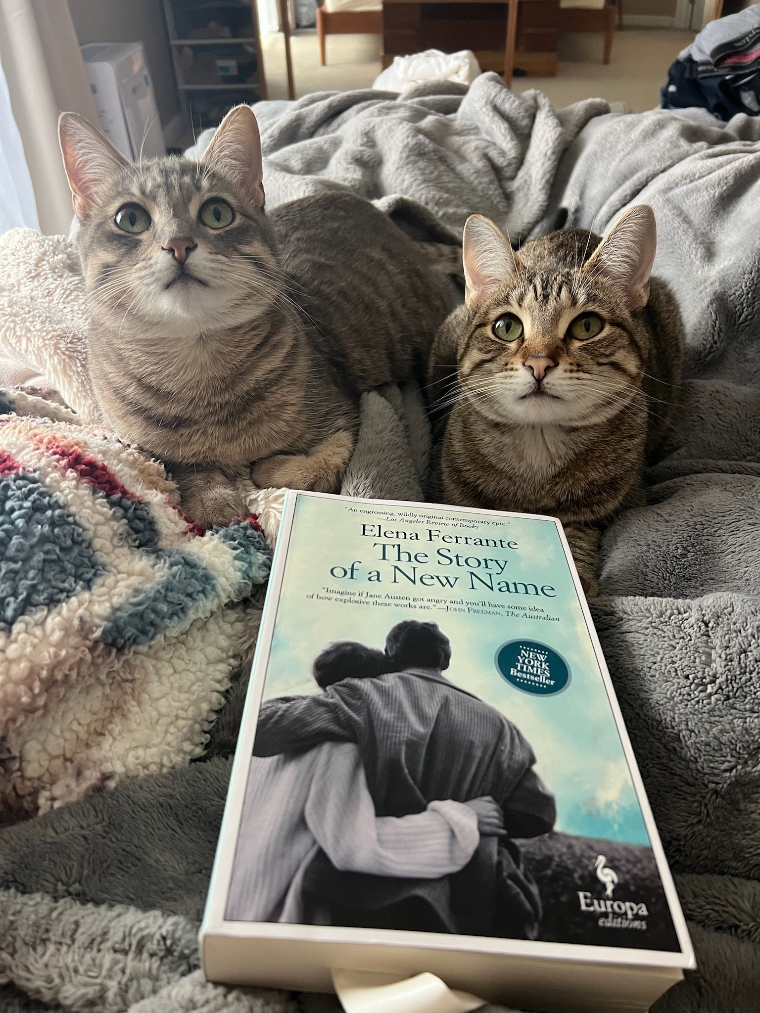 Nismo & Chai