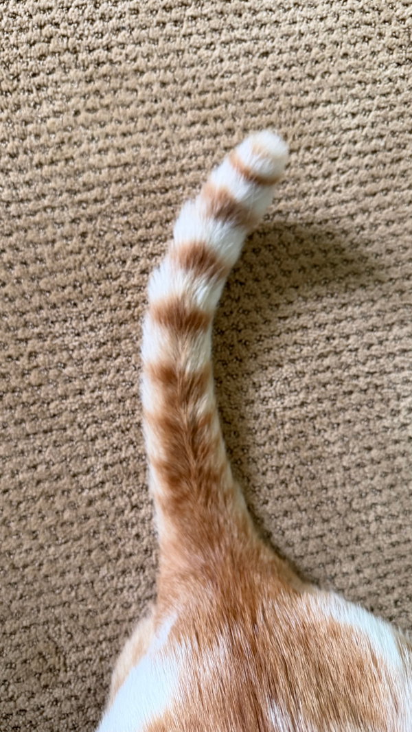 Walter