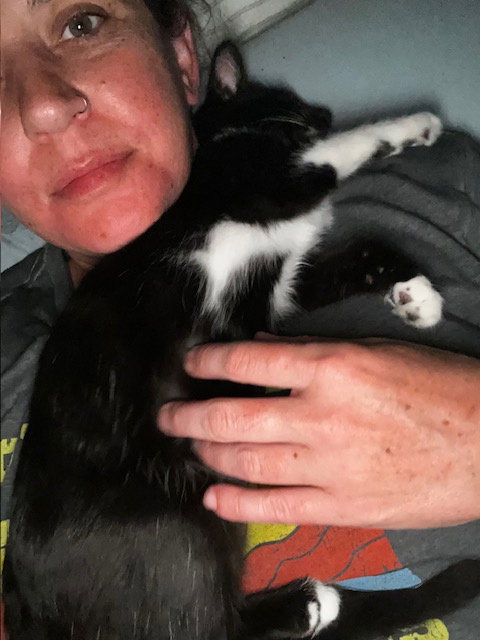 Mousse - male kitten, photo 3