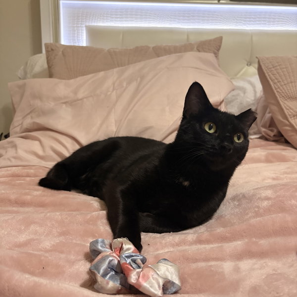 Sam - female adult
