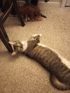 Mariah - Photo 2