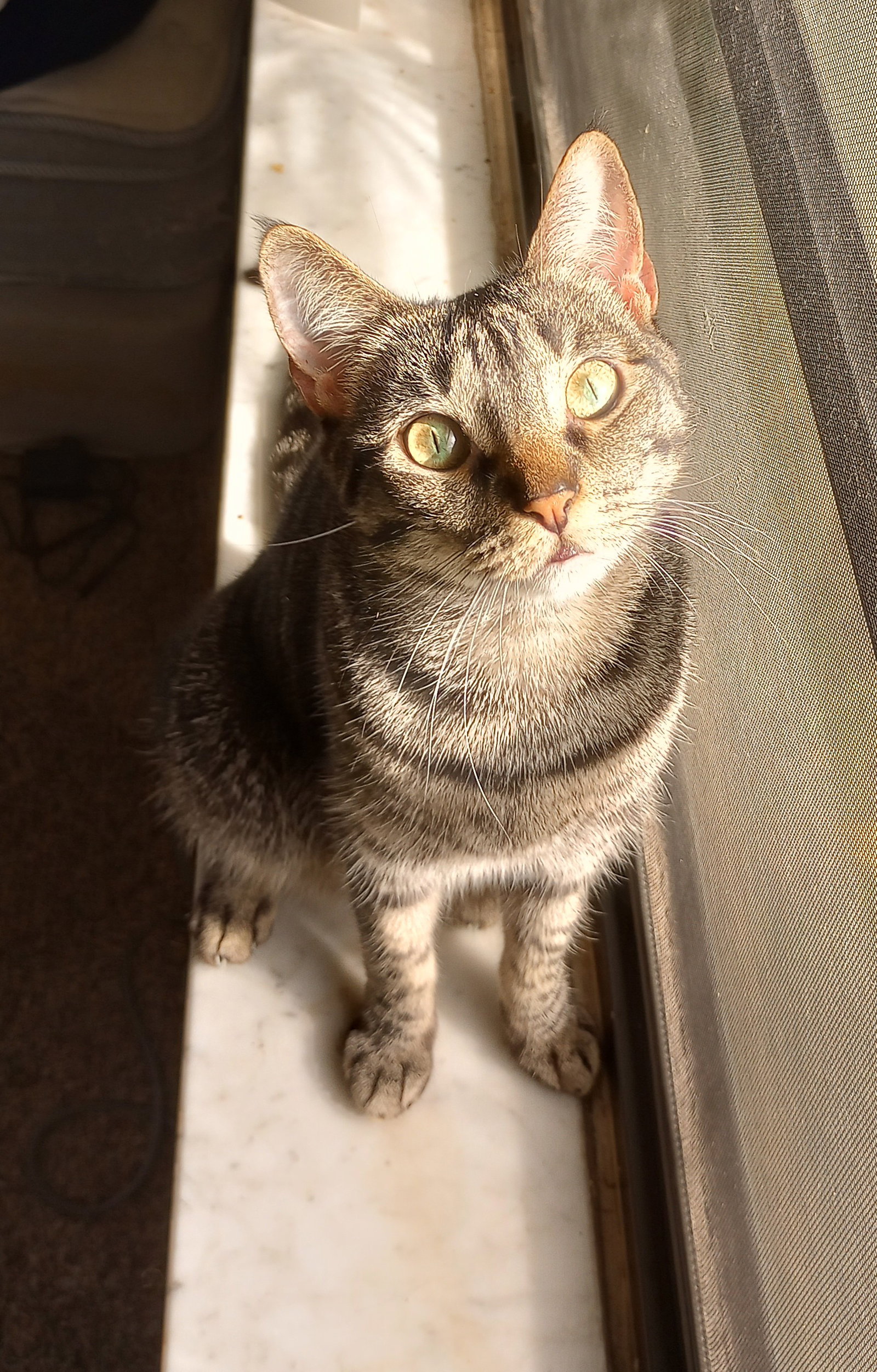 Minnie