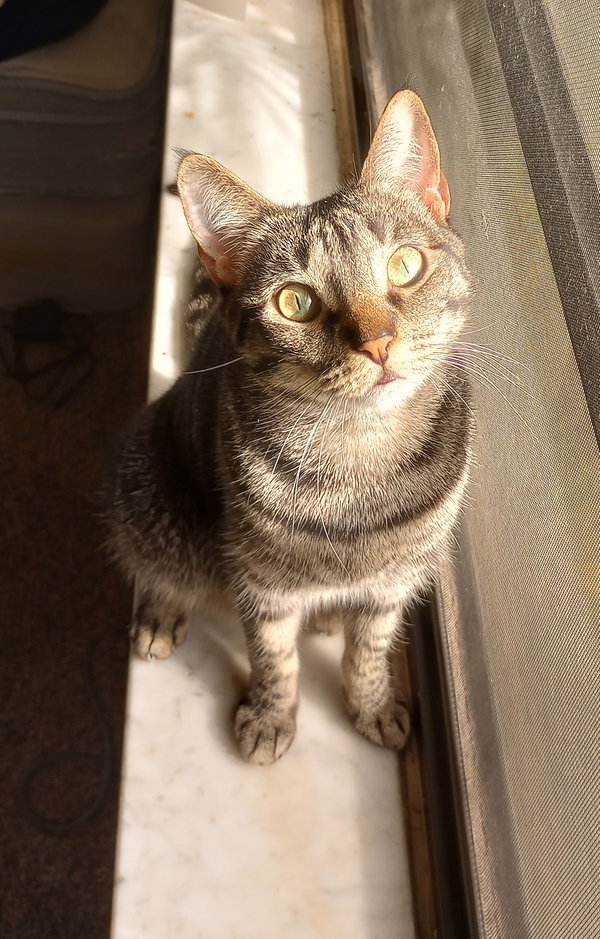 Minnie