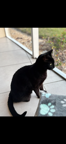 Onyx