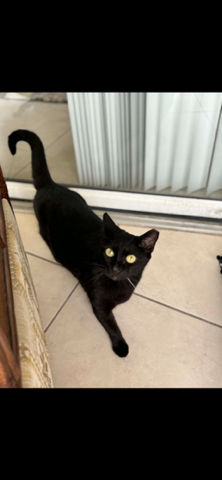 Onyx