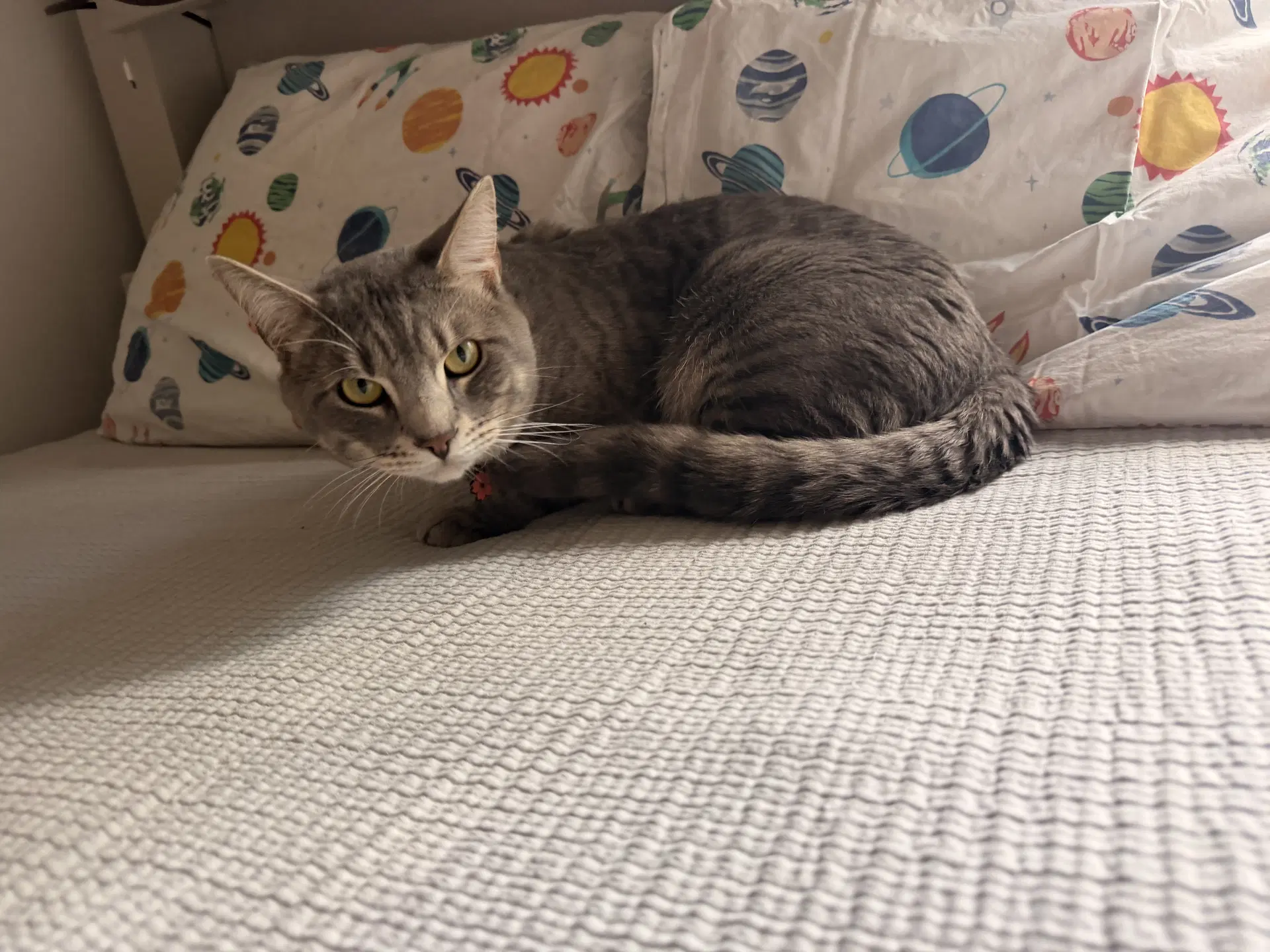 Loki image 2