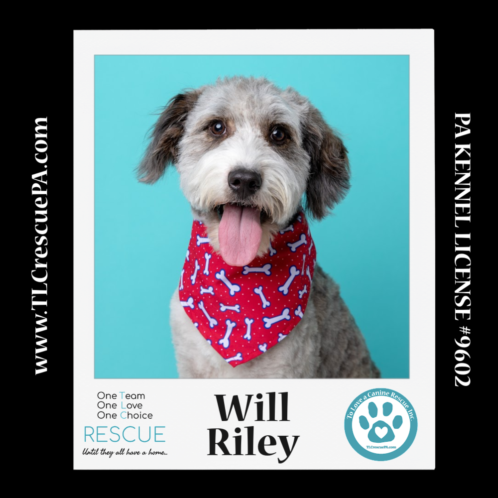 Will Riley 042024